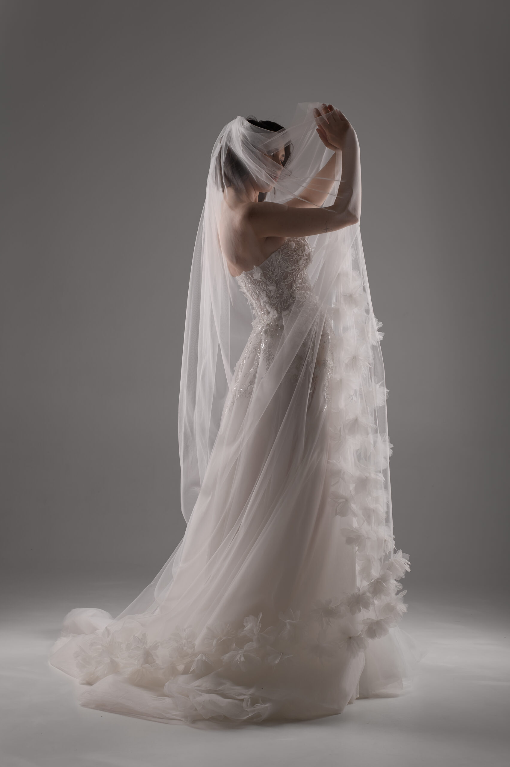 Lily - Image 4